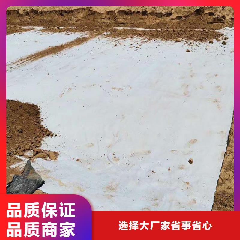 膨润土防水毯【玻纤土工格栅】信誉有保证口碑好实力强