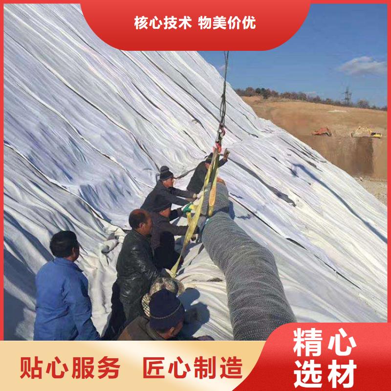 膨润土防水毯【土工格栅】厂家直销售后完善本地生产商