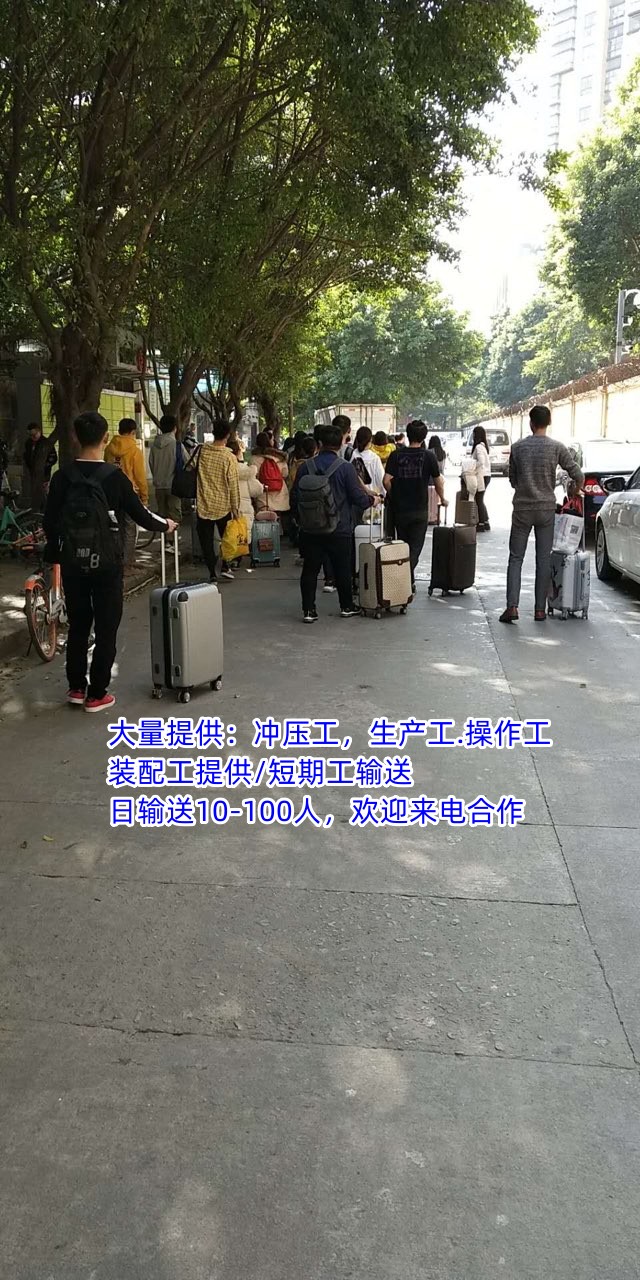 新会区罗坑恩平劳务派遣质量放心