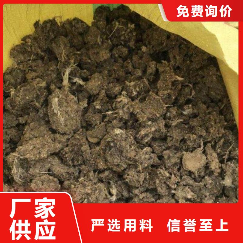 发酵鸡粪价格现货充足