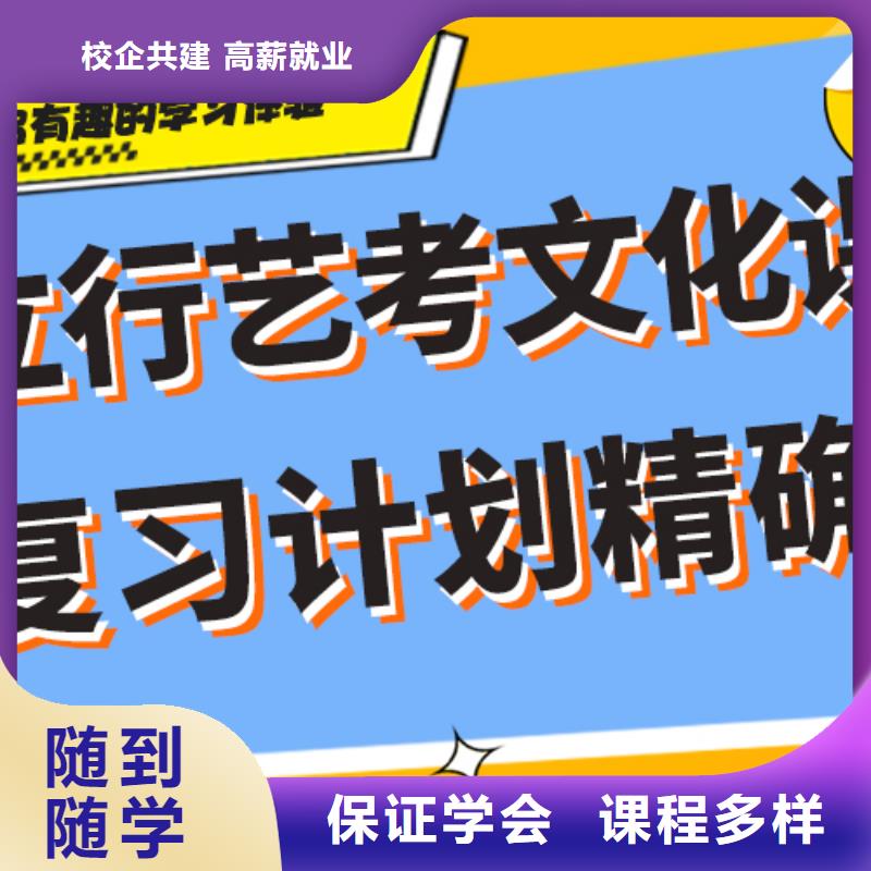 艺术生文化课培训学校哪个好私人定制方案实操教学