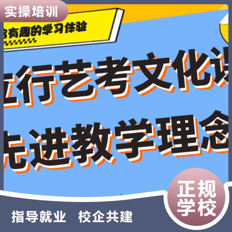 艺术生文化课培训补习哪家好完善的教学模式课程多样