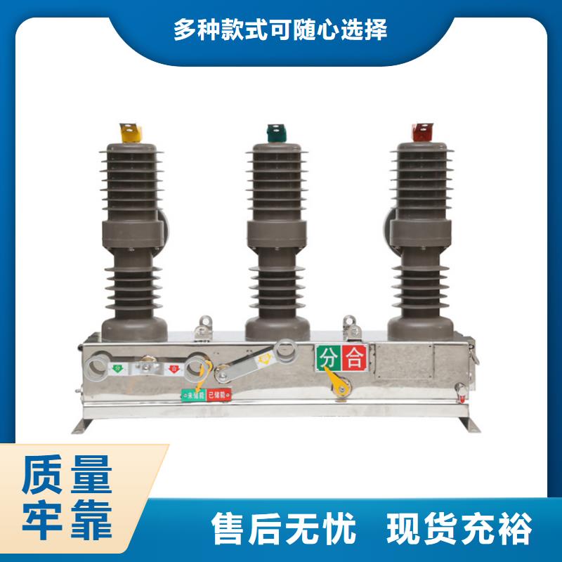 真空断路器氧化锌避雷器值得信赖自有生产工厂