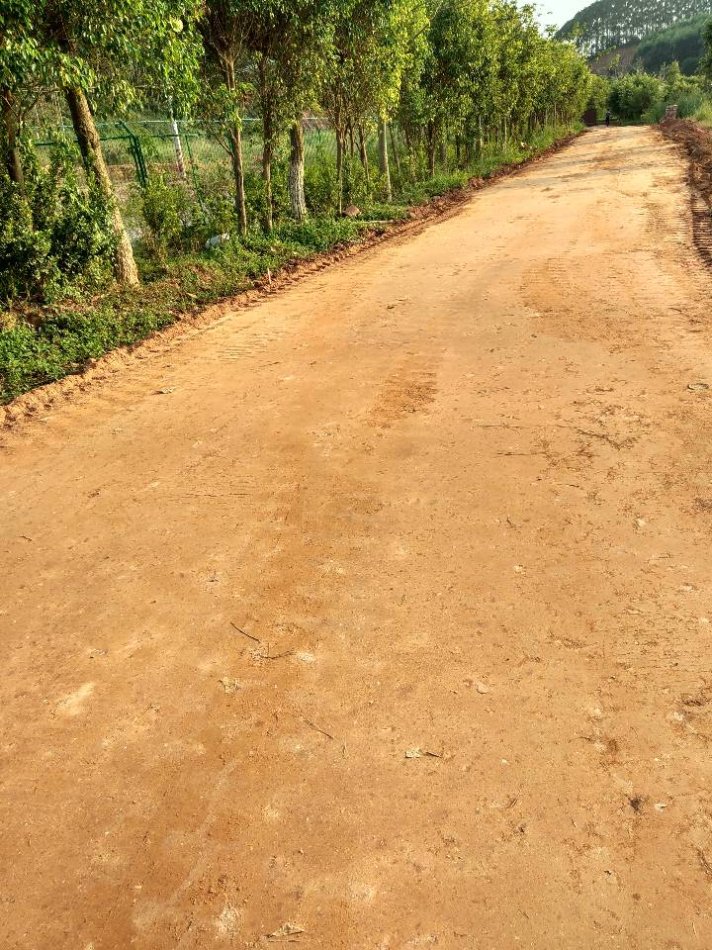 淤泥固化剂资阳周边战备公路生态路固化土方法