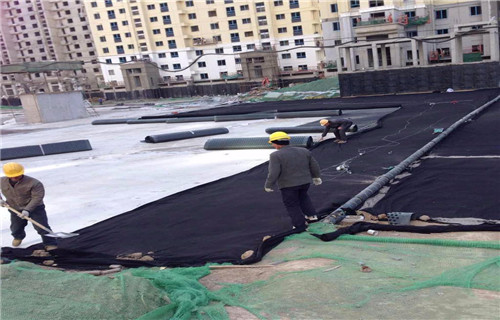 安庆采购屋顶花园排水板厂——欢迎您